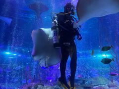 -沈阳海洋探索中心