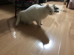 -北京佳信宠物医院