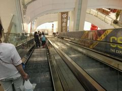 -小白鲨(四季青桥店)