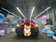 -上海星瀚奔驰4S店(红柳路店)