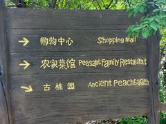 -南汇桃花村