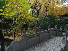 -汇龙潭