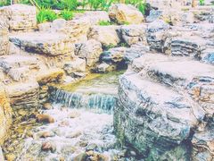 -大兴滨河森林公园