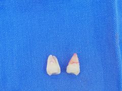 -方津口腔(旺墩路店)