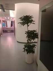 -郑州缔莱美医疗美容医院