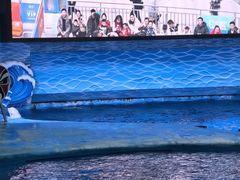 -海合安成都极地海洋公园