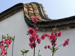 -乌山风景区