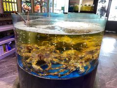 -蟹之国·精品蟹料理(极地店)