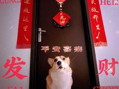 -奔驰利星行(北京花乡店)