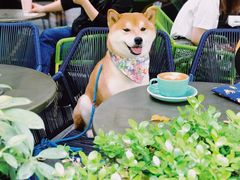 -Wagas沃歌斯(大学路店)