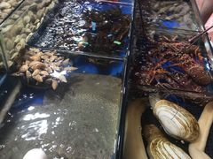 -无锡天鹏食品城