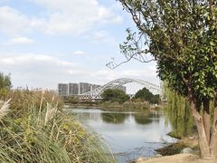 -澹台湖公园