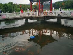 -长春市南湖公园