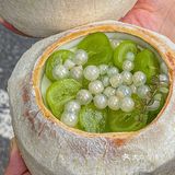 厦门首家椰子冻专门店🥥他家椰子冻好绝啊