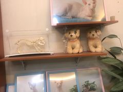 -德元·美联众合24小时动物医院(总院)