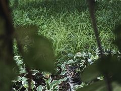 -望湖公园
