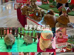 -远洋未来汇
