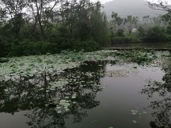 -绍兴鉴湖君澜大酒店