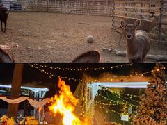 -安德鲁户外烧烤帐篷营地(马泉营店)