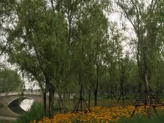 -东郊湿地公园