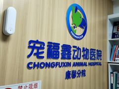 -宠福鑫康馨动物医院·骨科·眼科