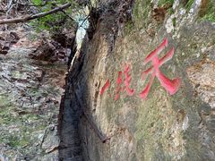 -天女山森林公园
