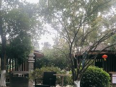 -张家港金凤凰度假村温泉
