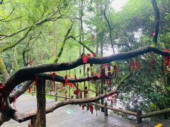 -天目湖山水园