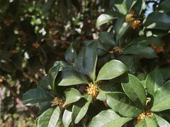 -白塘生态植物园