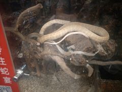-榕记(番禺总店)