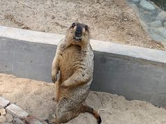 -呀路古热带植物园