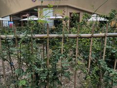 -西安市长乐公园