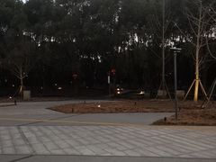 -上海科技馆-探索之光
