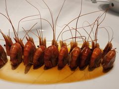 -淮扬府·游园京梦(北京SKP店)