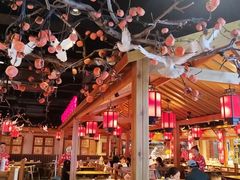 -鸽子窝(黄村店)