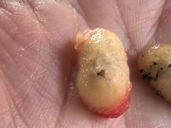 -后谷咖啡(建设巷店)