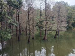 -广州市白云山风景名胜区