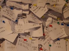 -树懒黑胶唱片店(中山路店)