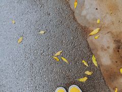 -绿丰干洗(解放东路店)