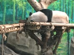 -二一九公园