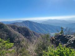 -王顺山国家森林公园