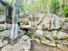 -石老人观光园