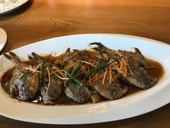 红烧鲳鱼-浙C老邻舍(西城海错店)