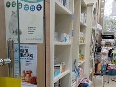 -米苏动物医院·犬猫专科·骨科外科内窥镜