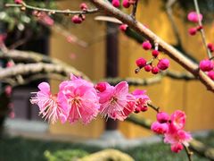 -杭州西子湖四季酒店-WL BISTRO西湖餐厅(灵隐路店)