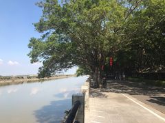 -大湾区中央湿地公园