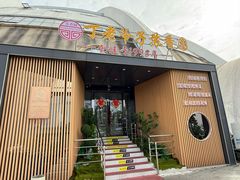 -丁老爷子苏香圆