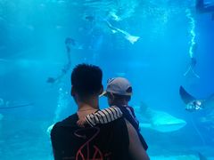 -烟台海昌鲸鲨海洋公园