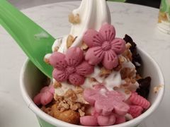 -Salud撒露欧洲冻酸奶(五道口购物中心店)