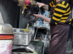 -金水泊山庄·花椒鸡(铁山坪店)